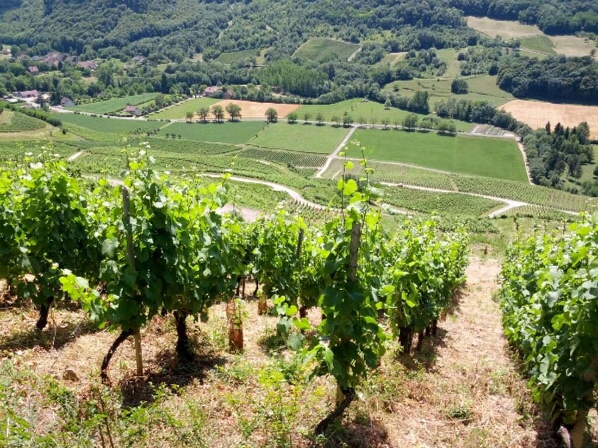 Au Bord De Seille Villa Nevy-Sur-Seille ภายนอก รูปภาพ